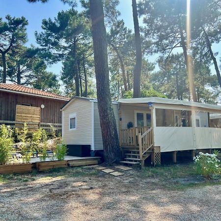 La Cabane Des Pins Lège-Cap-Ferret Eksteriør bilde