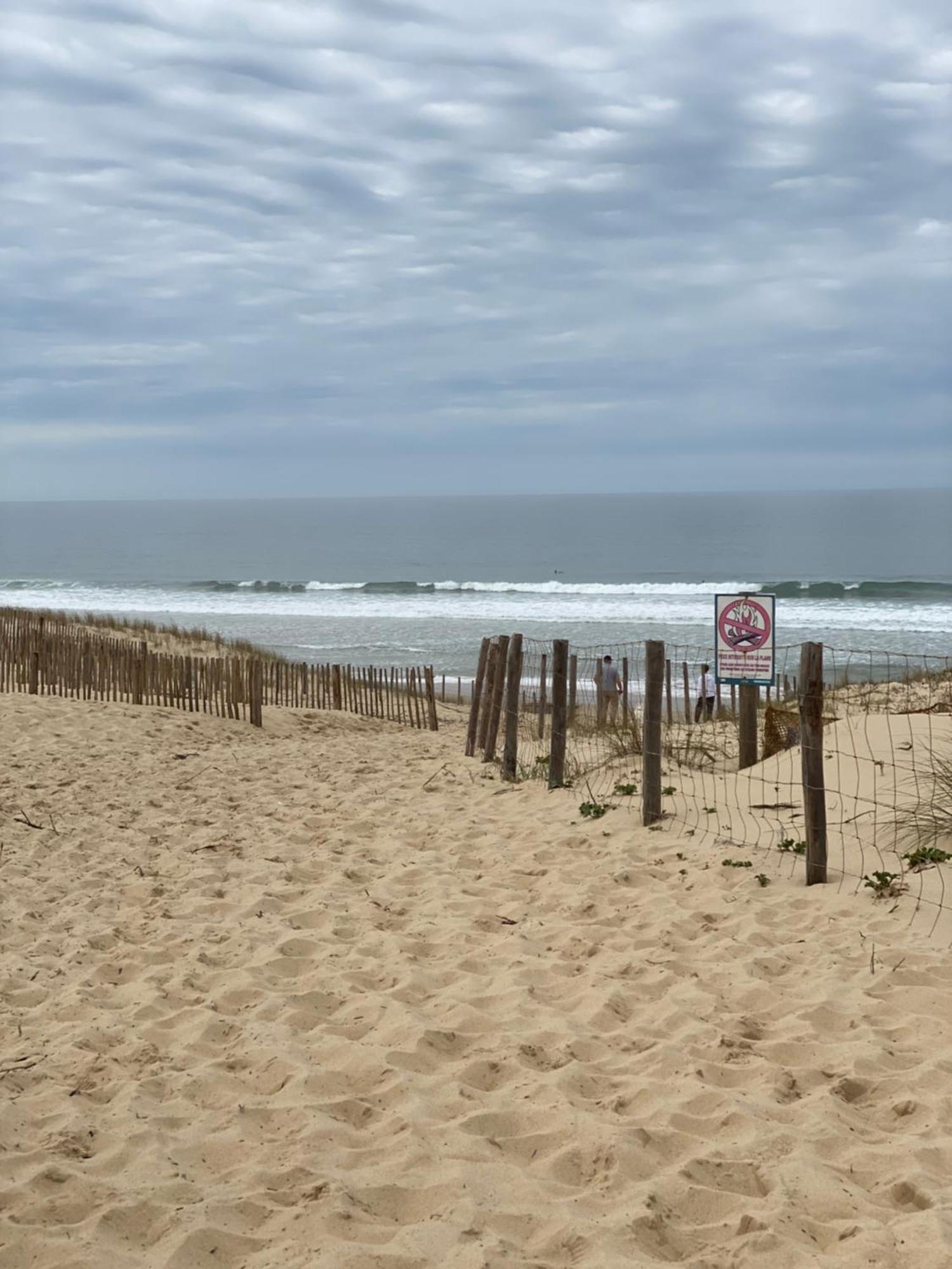La Cabane Des Pins Lège-Cap-Ferret Eksteriør bilde