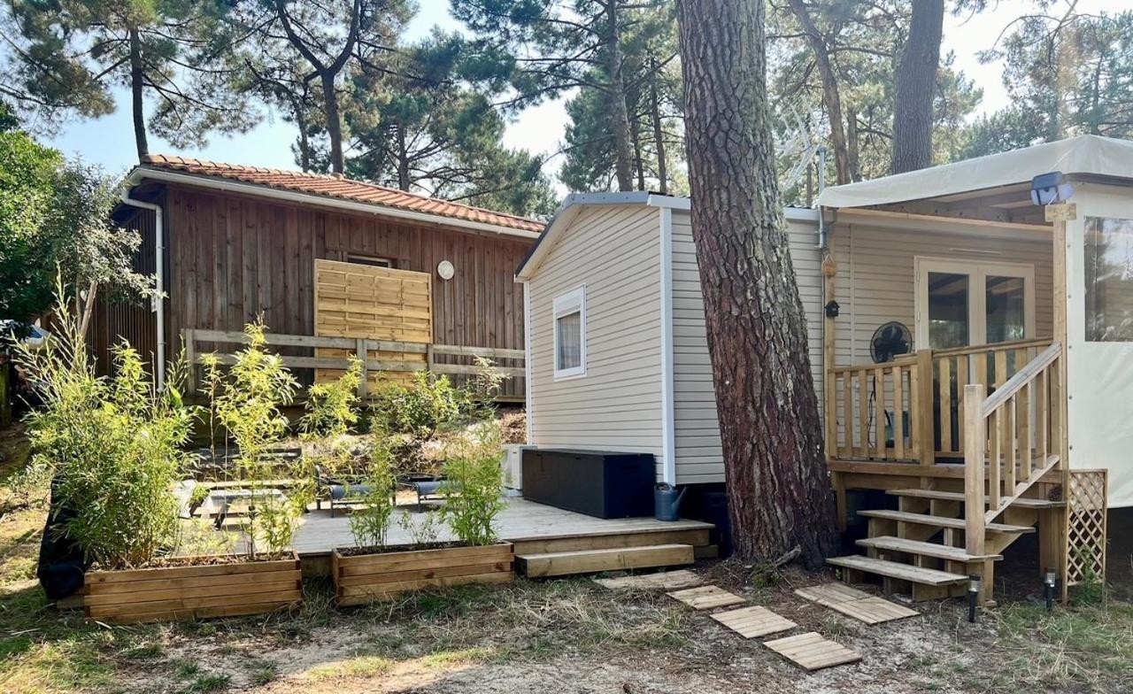 La Cabane Des Pins Lège-Cap-Ferret Eksteriør bilde