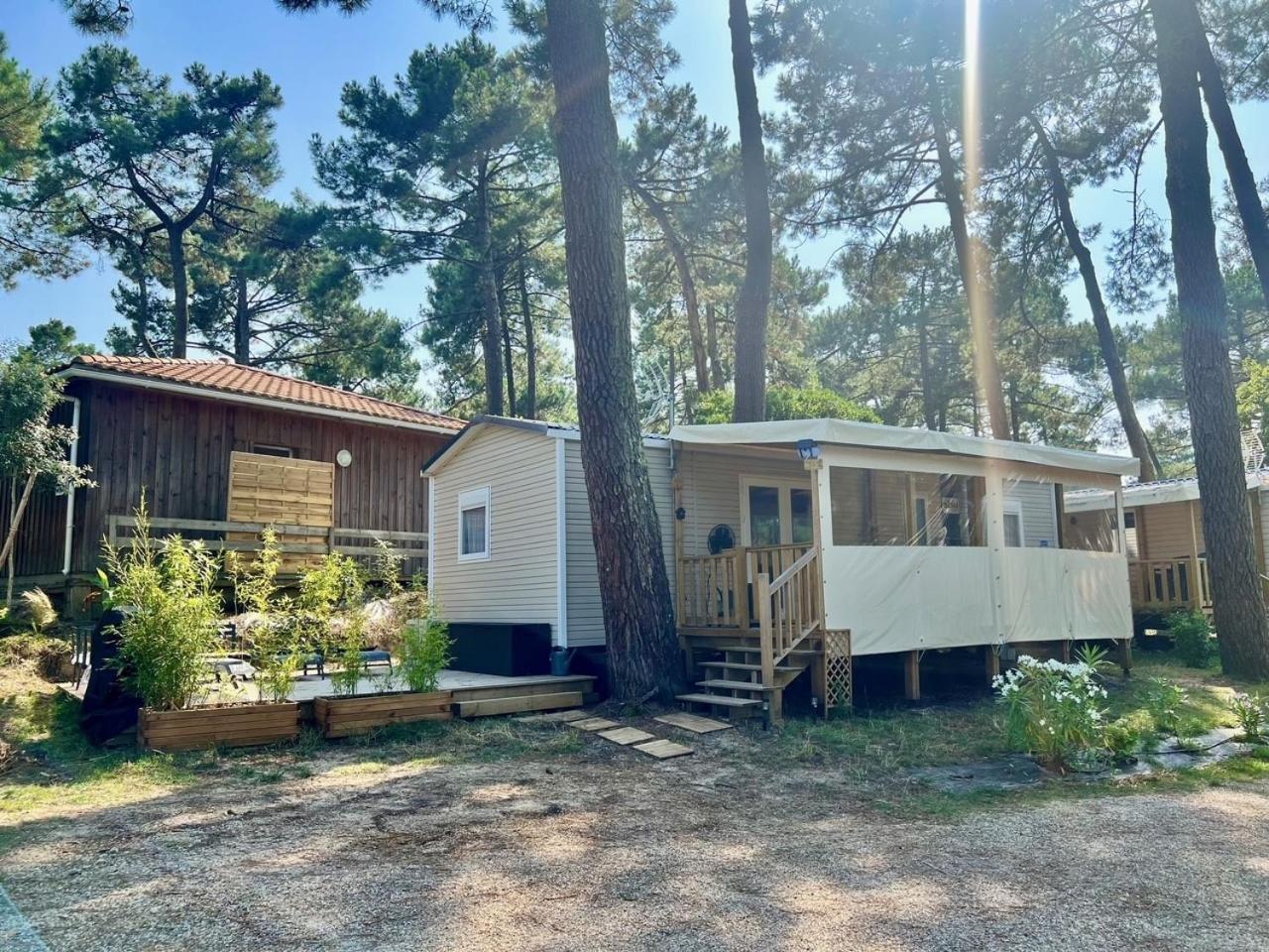 La Cabane Des Pins Lège-Cap-Ferret Eksteriør bilde